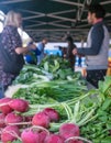 Kerikeri, New Zealand, NZ - August 19, 2018: Vegetable produce s Royalty Free Stock Photo